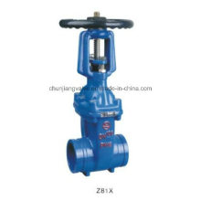 Rising Stem Resilient Seated Gate Valve